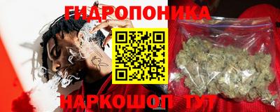 гидропоника Будённовск