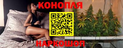 гидропоника Будённовск