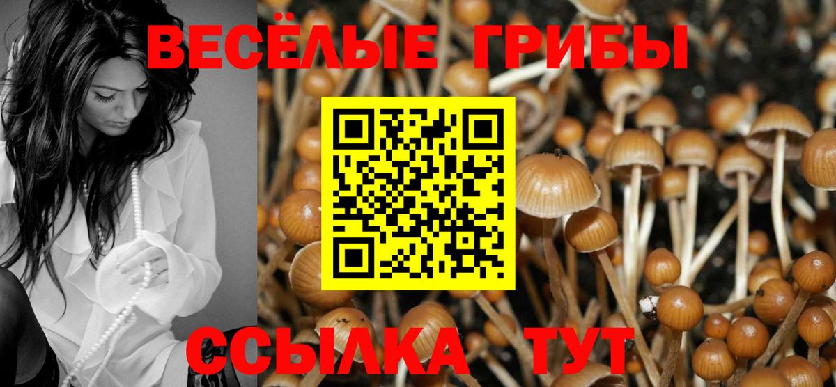Галлюциногенные грибы мицелий  Вход с VPN  где найти наркотики  Йошкар-Ола 